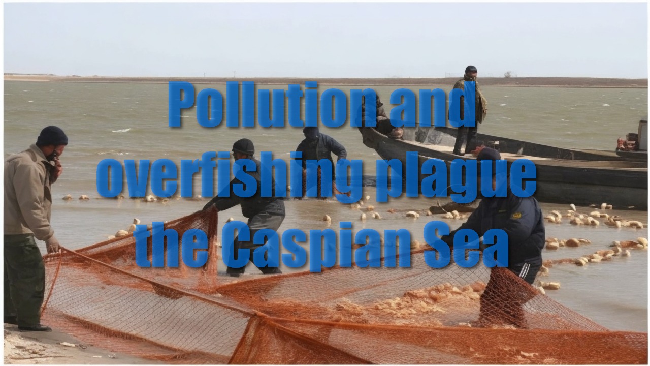 Pollution and overfishing plague the Caspian Sea